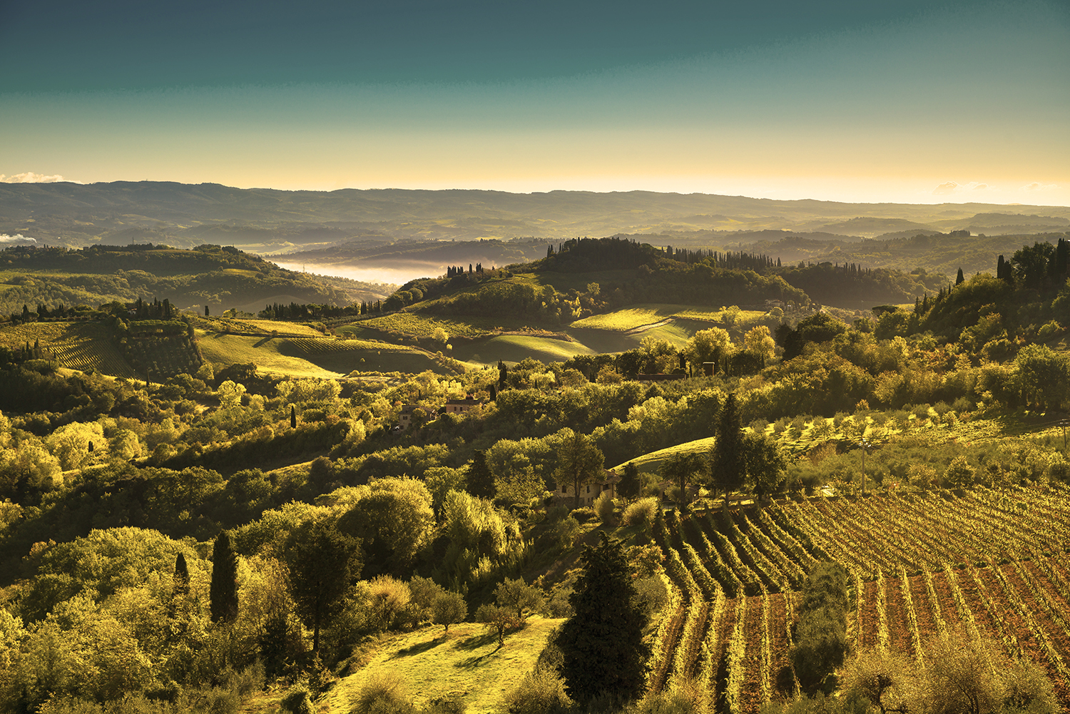 Frantoio di San Gimignano - Visite guidate e vendita diretta