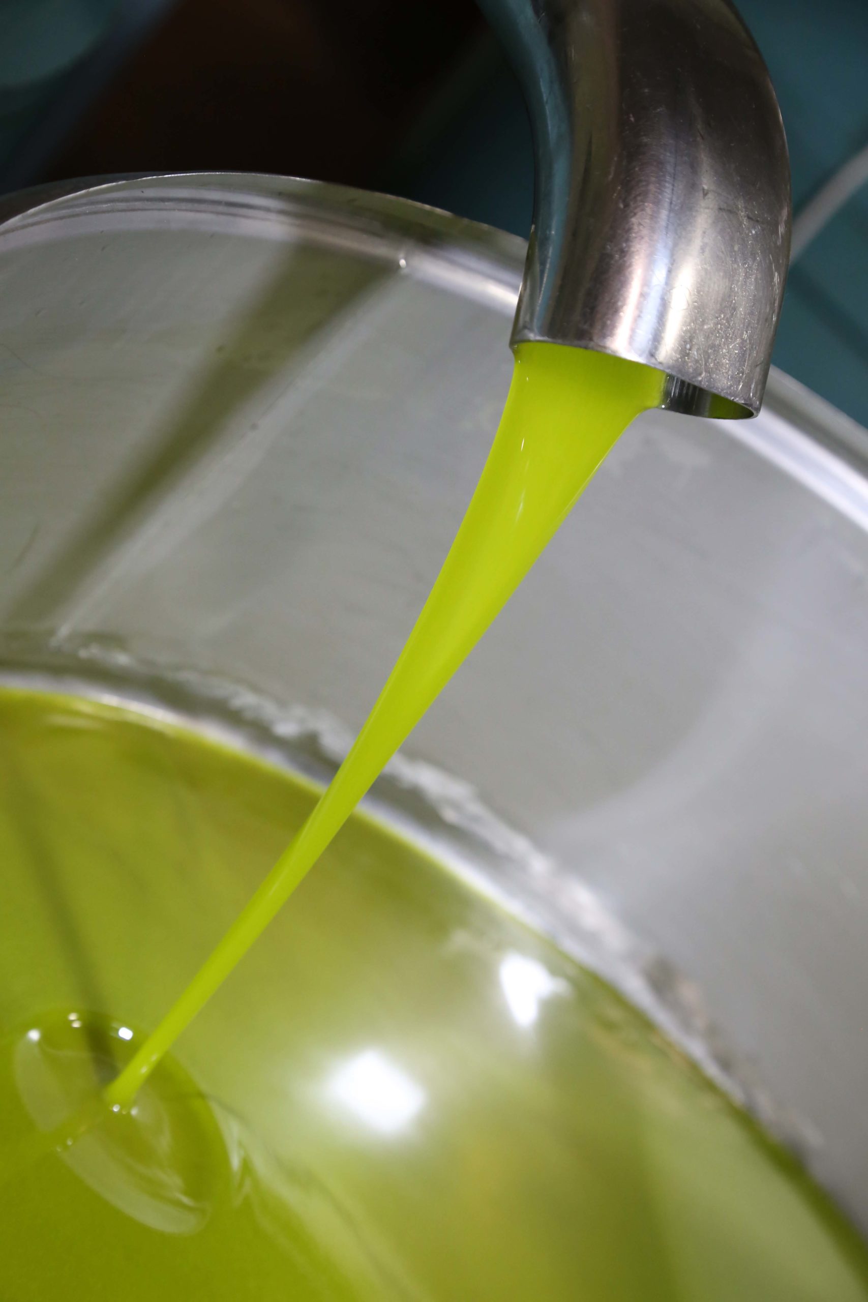 Frantoio San Gimignano - produzione olio extravergine di alta qualità
